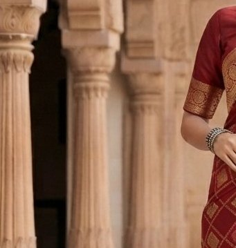 Magenta/Maroon Border Fancy Saree detail 5