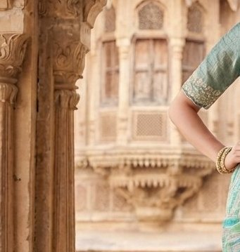 Pastel Chevron Tissue Handwork Saree detail 5