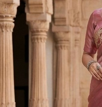 Embroidered Organza Saree detail 5
