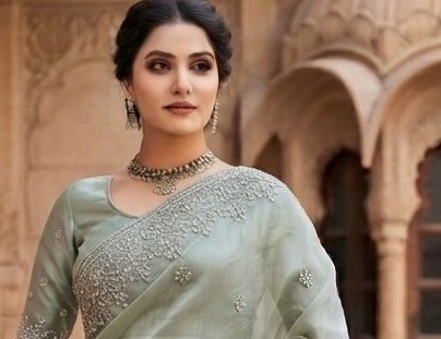 Pista Green Zari Embroidered Organza Saree detail 4