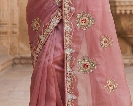 Embroidered Organza Saree detail 6