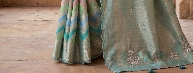 Pastel Chevron Tissue Handwork Saree detail 3