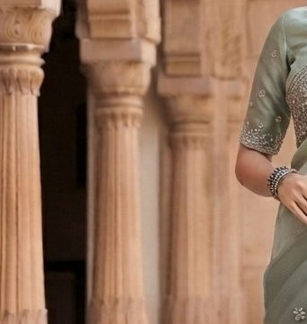 Pista Green Zari Embroidered Organza Saree detail 5