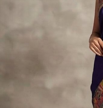 Deep Purple / Indigo Royal Banarasi saree) detail 5