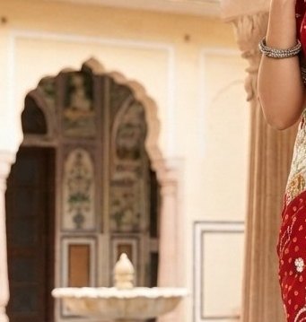 Bridal Red & White Fancy saree detail 5