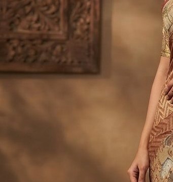 Bronze Paithani Border Saree detail 5