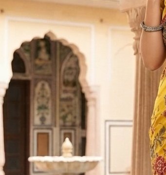 Aari Tori Work Saree detail 5