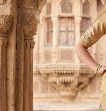 Royal Golden Tissue Handwork Saree detail 5