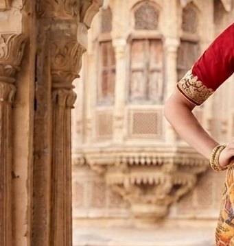 Red aari Tori Work Saree detail 5