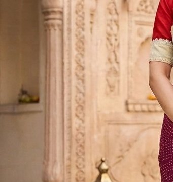 Crimson Red fancy Saree detail 5