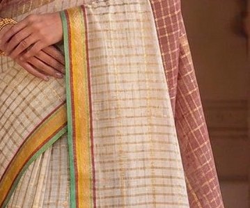 Ivory Jari Checks Saree detail 2