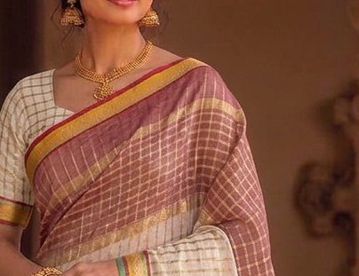Ivory Jari Checks Saree detail 4