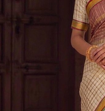 Ivory Jari Checks Saree detail 5