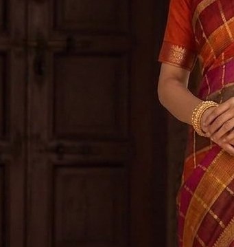 Maroon Orange Jari Checks Saree detail 5