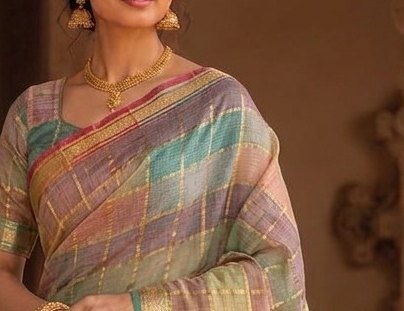 Pastel Multicolour Jari Checks Saree detail 4