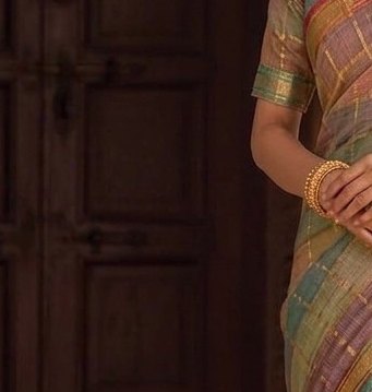 Pastel Multicolour Jari Checks Saree detail 5