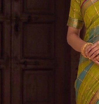Parrot Green Blue Jari Checks Saree detail 5
