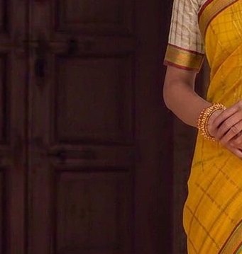 Bright Yellow Jari Checks Saree detail 5