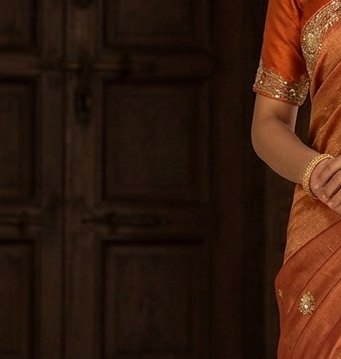 Rust Orange Jardoji Saree detail 5
