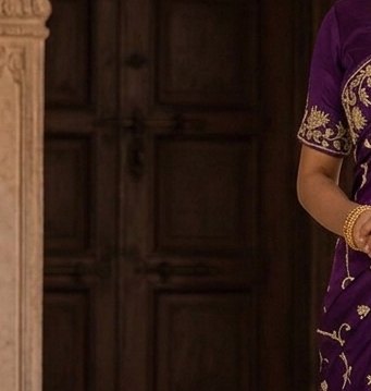 Royal Purple Jardoji Saree detail 5