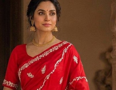 Bridal Red Jardoji Saree detail 4