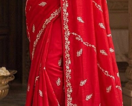 Bridal Red Jardoji Saree detail 6