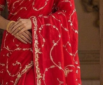 Ruby Vine Jardoji Saree detail 2