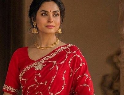 Ruby Vine Jardoji Saree detail 4