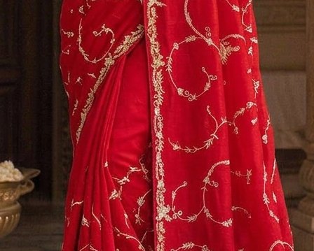Ruby Vine Jardoji Saree detail 6