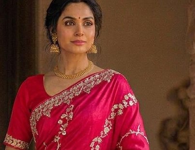 Rani Pink Jardoji Saree detail 4