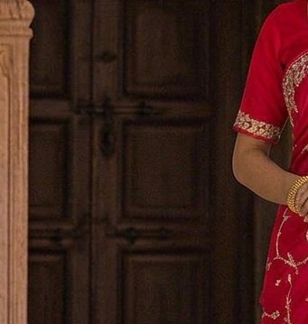 Rani Pink Jardoji Saree detail 5