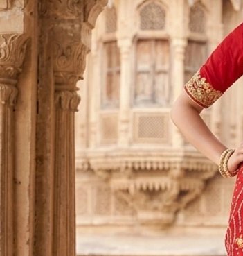 Zari Border Bandhej Saree detail 5
