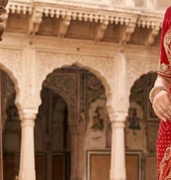 Paisley Border Bandhej Saree detail 5