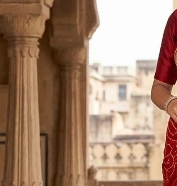 Heavy Zari Bandhej Saree detail 5