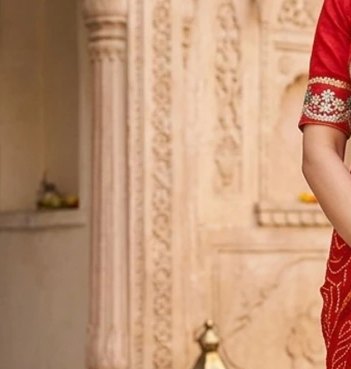 Meenakari Border Bandhej Saree detail 5