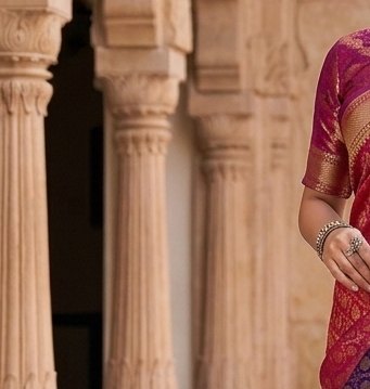 Banarasi Touch Binni Saree detail 5