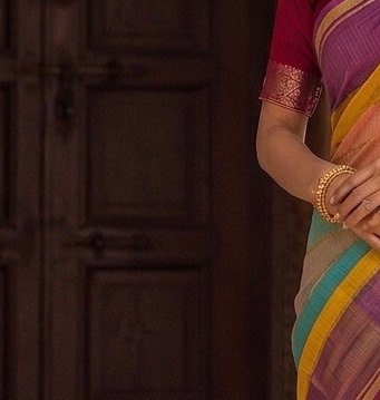 Multicolour Jari Stripe Saree detail 5