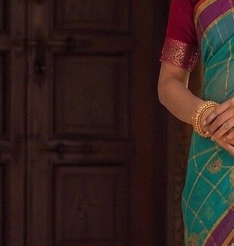 Teal Jari Checks Saree detail 5